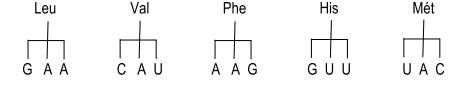 image2.png