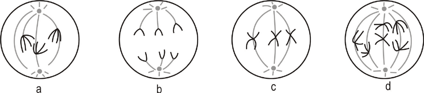 image1.png