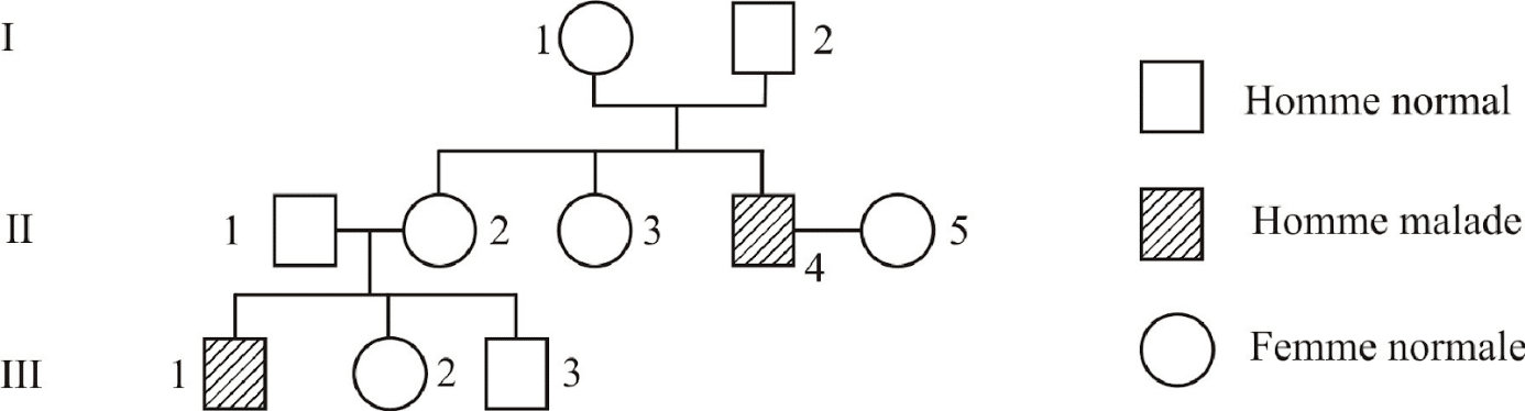 image2.png