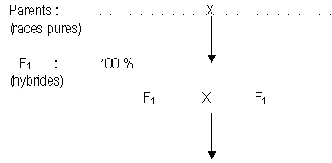 image1.png