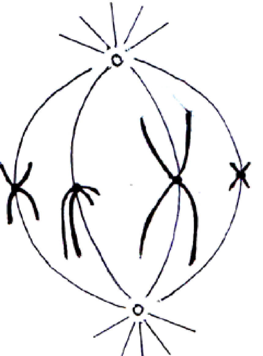 image2.png