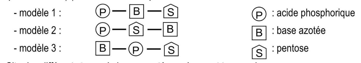 image3.jpeg