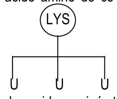 image5.jpeg