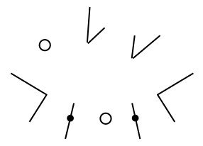 Caryotype schématique de drosophile : huit chromosomes, soit deux petits ronds, deux petits chromosomes en V, deux grands chromosomes en V et deux bâtonnets identiques marqués chacun d’un point noir