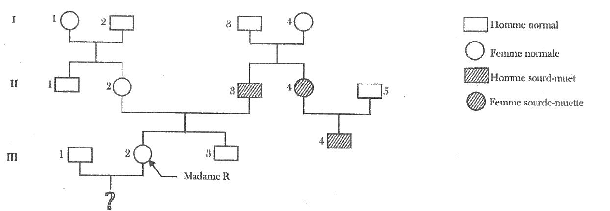 Arbre généalogique de la famille de Madame R sur trois générations : I3 et I4, normaux, ont deux enfants sourds-muets (II3 et II4) ; Madame R (III2), normale, est la fille de II2 et de II3 ; III4, sourd-muet, est le fils de II4 et de II5