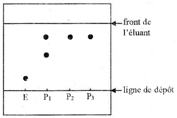 Chromatogramme : dépôts E, P1, P2 et P3 entre la ligne de dépôt et le front de l’éluant ; E donne une tache basse, P1 deux taches, P2 et P3 une tache haute