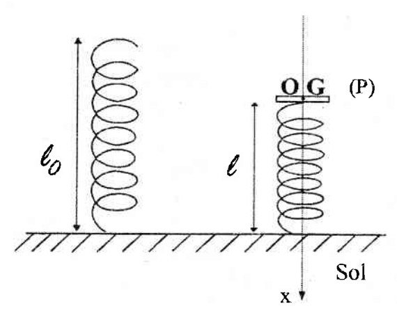 Ressort à vide de longueur ℓ0 et ressort à l’équilibre de longueur ℓ portant le plateau (P) de centre G ; origine O en G, axe x vertical orienté vers le bas