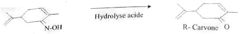 Troisième étape : hydrolyse acide du composé portant le groupe N-OH, qui donne la R-carvone