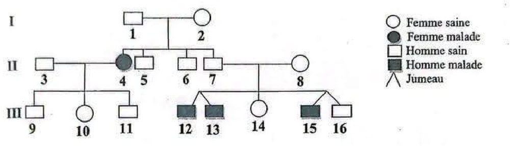 Arbre généalogique sur trois générations : couple sain I1 et I2 ; enfants II4 (fille malade), II5, II6 et II7 (garçons sains) ; II3 et II4 ont trois enfants sains III9, III10 et III11 ; II7 et II8 (sains) ont les jumeaux III12 et III13 (garçons malades), III14 (fille saine) et les jumeaux III15 (garçon malade) et III16 (garçon sain)