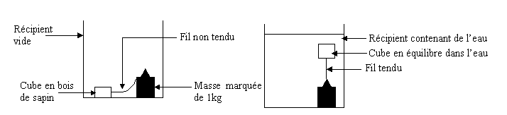 À gauche, récipient vide : cube en bois de sapin relié par un fil non tendu à une masse marquée de 1 kg. À droite, récipient contenant de l’eau : cube en équilibre dans l’eau, retenu par le fil tendu